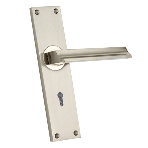 "Diotrephes" Zinc Handle with Back Plate